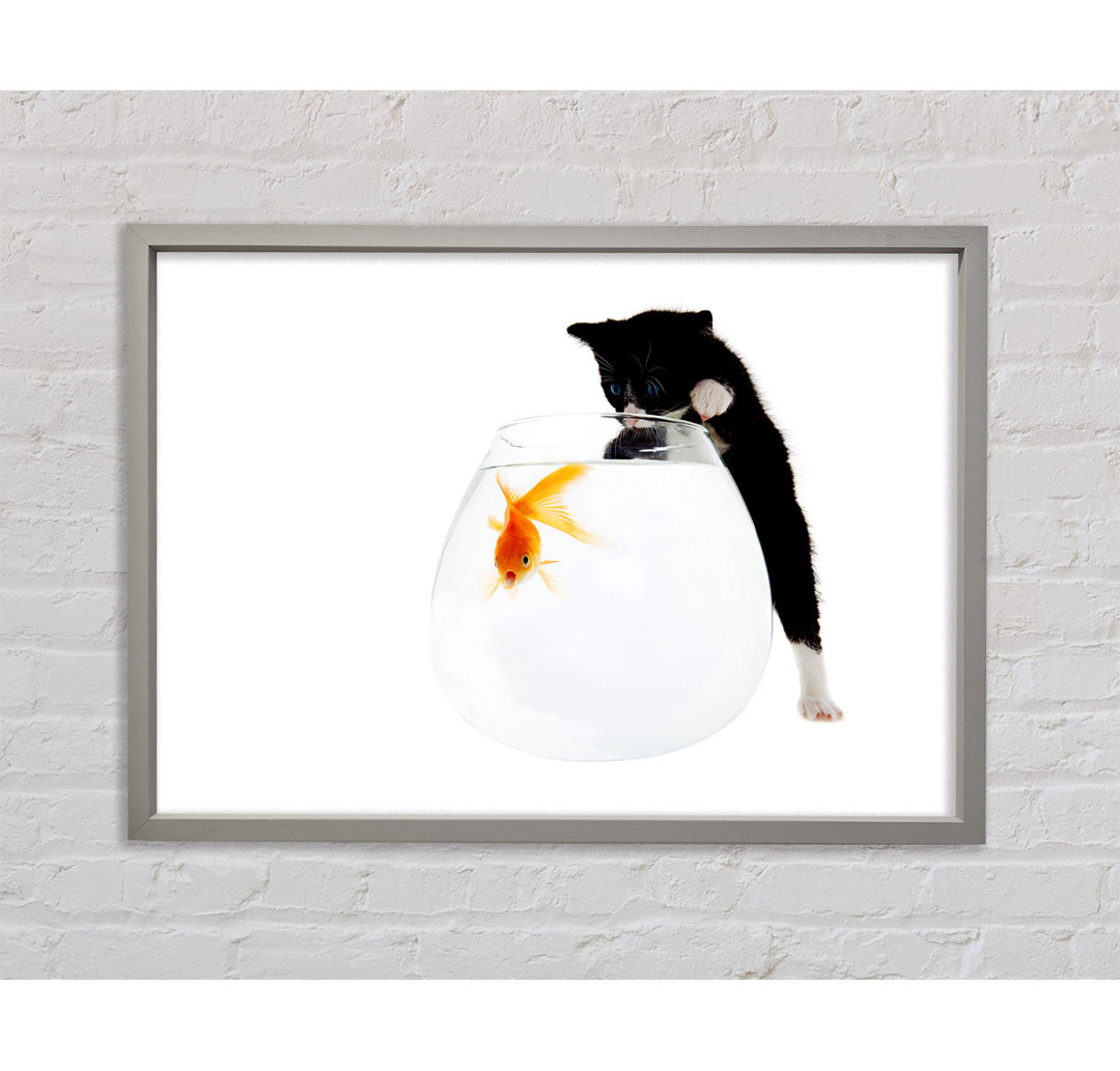 Kitten Fish Bowl Gerahmter Druck