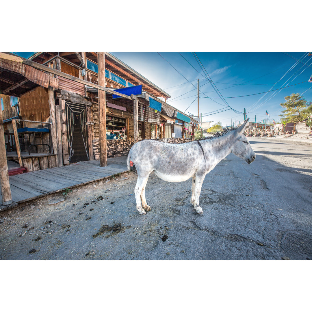 Esel bei Oatman von Steven_Kriemadis - Kunstdrucke