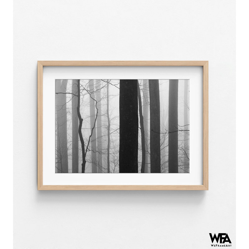 «Forest Code» par Nicholas Bell, art mural escalier, décor de cheminée, impression d'idée de remodelage de sous-sol, art de forêt noir et blanc