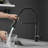 FLG Pull Down Kitchen Faucet