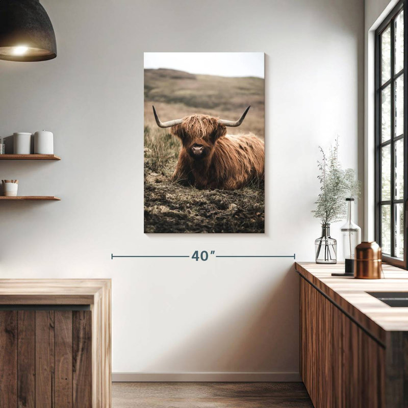 Brampt Still Highland Cow, H 39 po x l 26 po