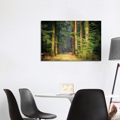 Sweet End Day in the Forest 1 Piece Wrapped Canvas Wall Art