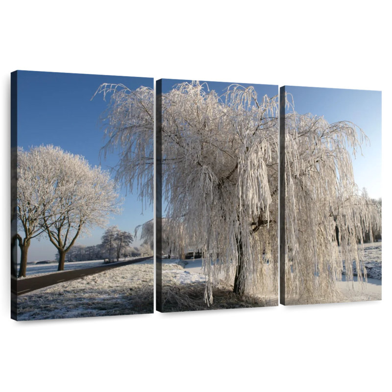 Harnek Frozen Willow Tree, 24" H x 38" W