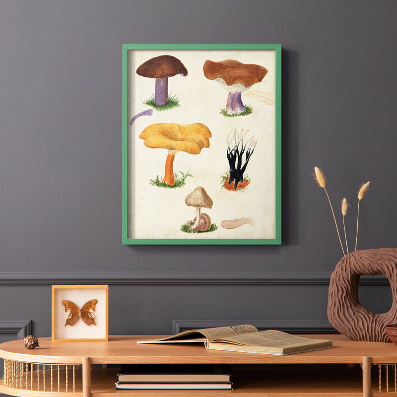 Reproduction encadrée Mushroom Species VII - bois massif, Vert, H 10 po x l 8 po