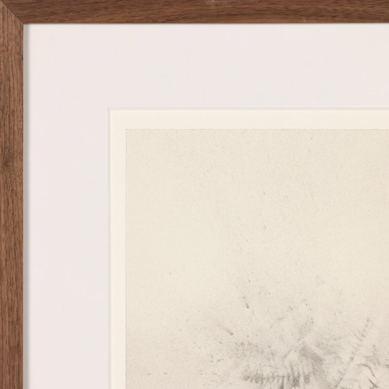 Breath Drawings Iii By Adrián White, 18" H x 14" W