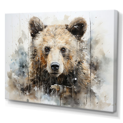 Bear Portrait Necessities On Canvas Print