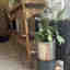 Customer photo 2 of 2