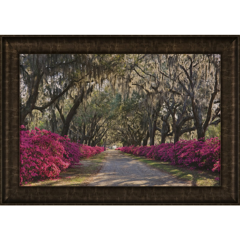 Azaleas bonaventure, reproduction de photo encadrée