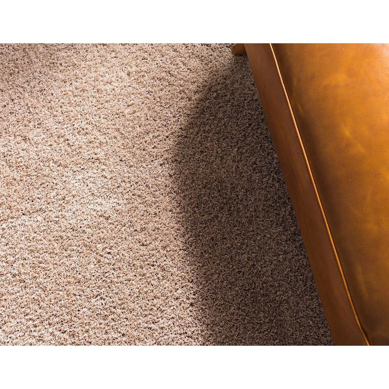 Tapis brun Paramount, Tapis de couloir 2 pi x 6 pi 7 po