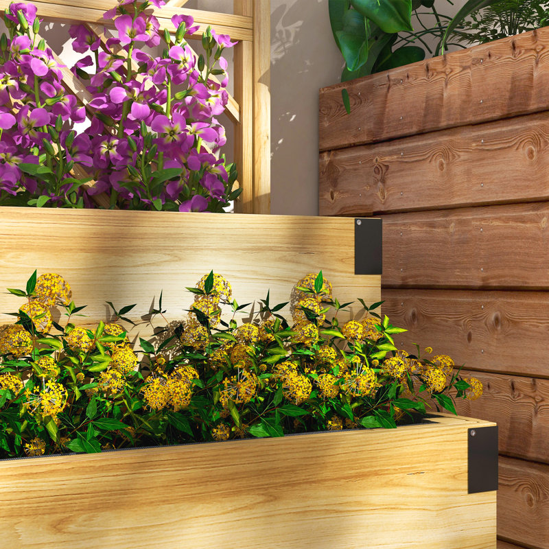 Jardinière en treillis à 2 niveaux, lit de jardin surélevé en bois, naturel, Bois naturel
