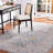 Sierra Performance Oriental Rug-66094256