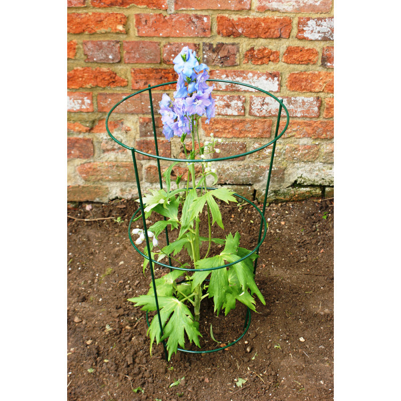 Bahi Metal Plant Support, 60cm H x 25cm W x 25cm D