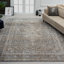 Dmon Floral Area Rug in Blue-1903343039