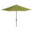 Parasol Macaw