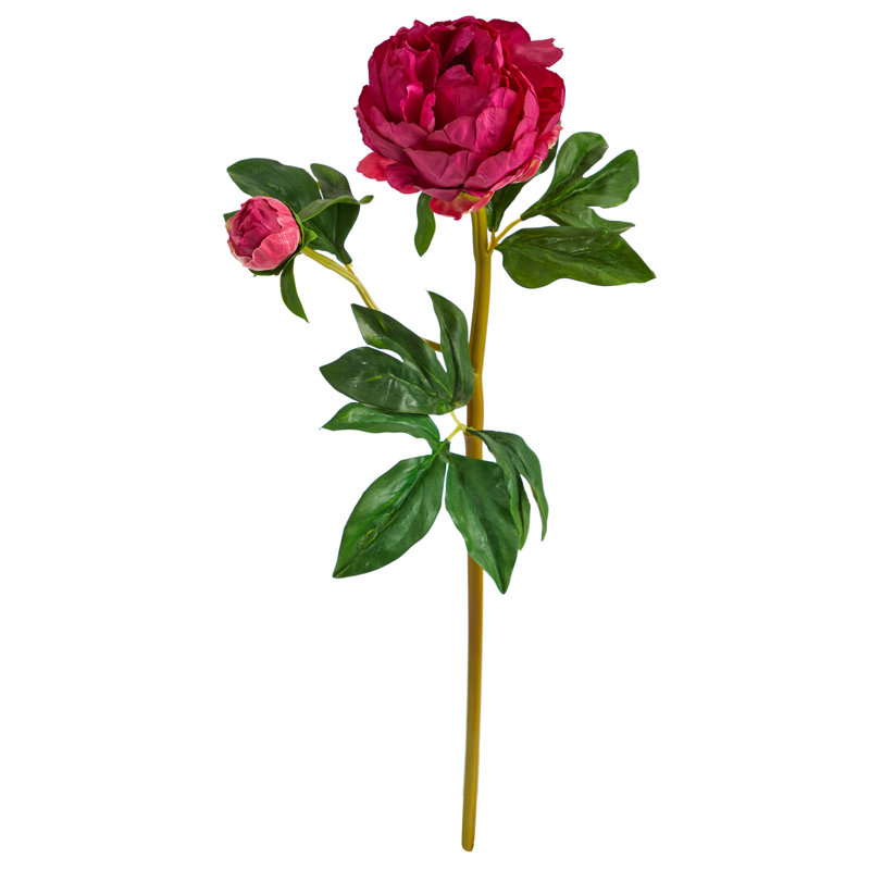Peony Arrangement, Fucshia
