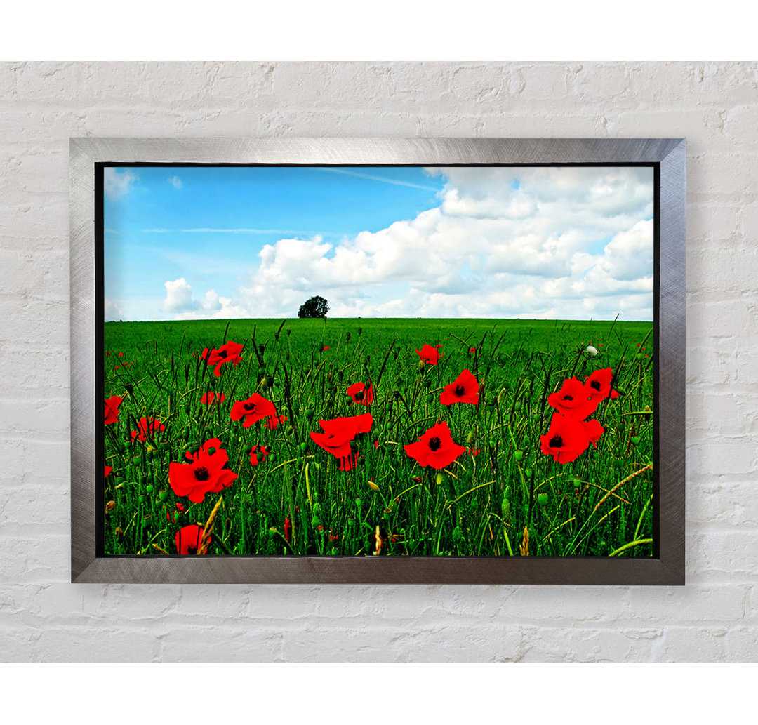 Gerahmter Kunstdruck Poppy Fields On A Cloudy Day