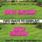 Weather Resistant and UV Resistant Plastic Birthday Decoration