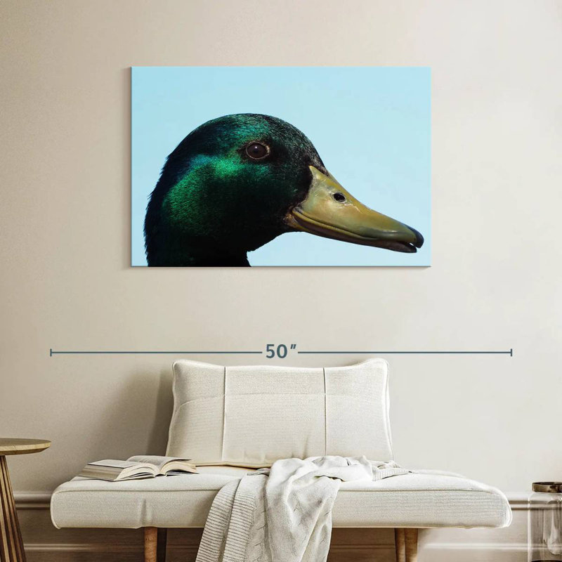 Mallard Duck Close Up, 26" H x 39" W