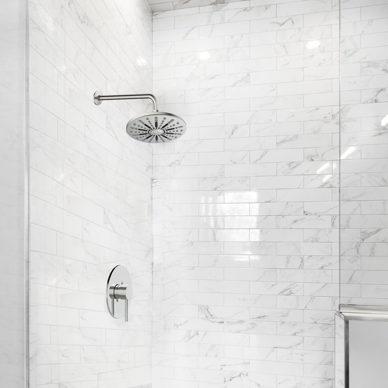 Shower Arm and Flange, Satin Nickel