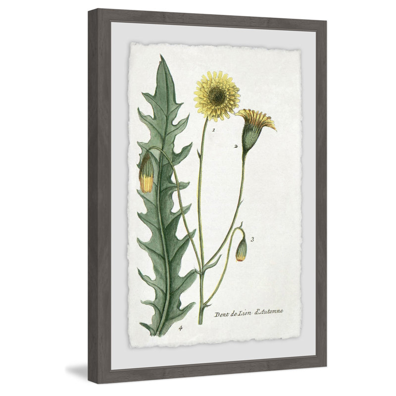 Dandelion - Single Picture Frame Painting, 91cm H x 61cm W