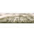Green Cartago Indoor/Outdoor Modern Rug-1441582127