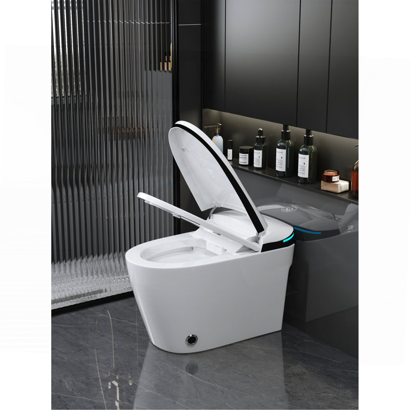 Luxury Smart Toilet With Bidet Seat Built-In