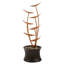 Outdoor Cascade Fountain