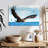 Eagle In Flight-70241515