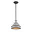 Luminaire suspendu 1 lumière Wry Lighting Jasper en fer noir antique