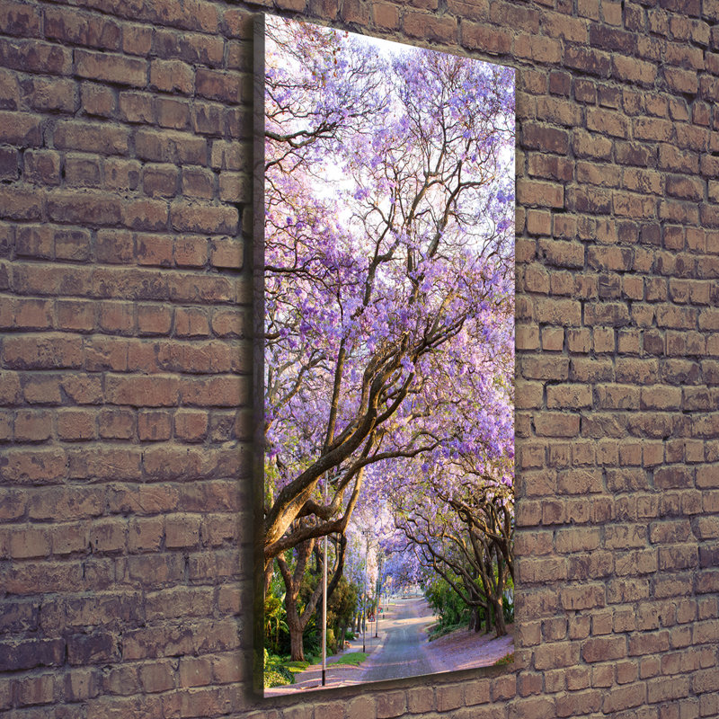The Jakaranda Path - Wrapped Canvas Print