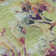 Premium Machine Washable Prisco Aloe Rug
