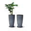 Pot à fleurs rond avec plateau Nova l 12 po-671843993-777671223-777671179