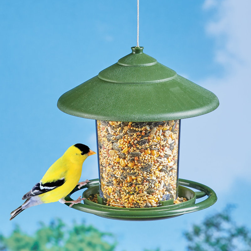 Green Plastic Hanging Birdfeeder with Metal Drainage Holes