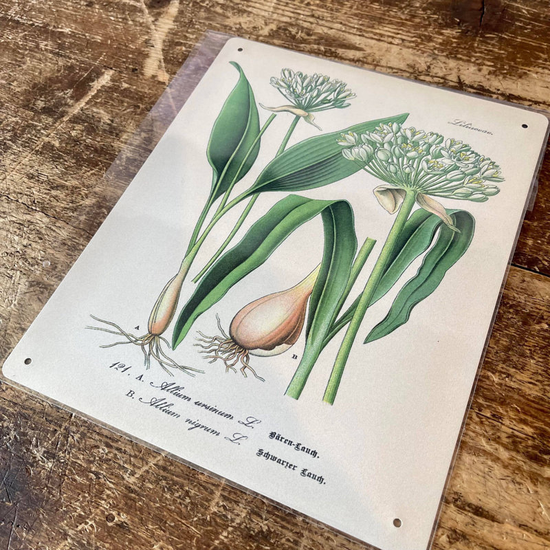 Handmade Plants & Flowers Wall Decor on Metal, 20cm H x 15cm W