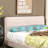 Upholstered Platform Bed-21119596-21119601