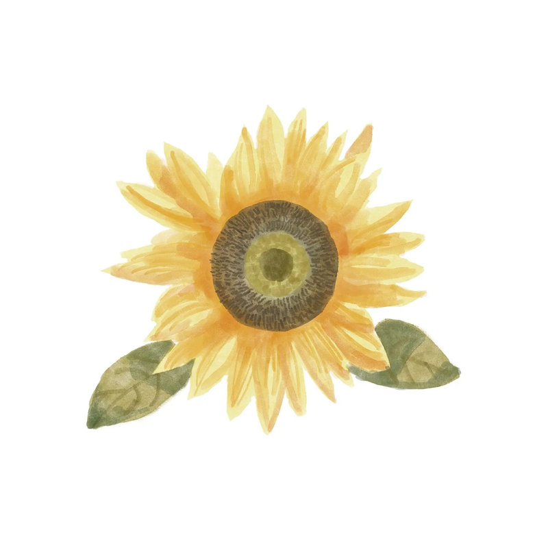 Single Sunflower II by Bannarot - Wrapped Canvas Print, 30.48 cm H x 30.48 cm W