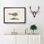 A Common Gull by Von Wright - Single Picture Frame Painting-55457440-55457434