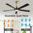 Bascio 5-Blade LED Ceiling Fan-277258632-281262662-281262663