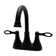 Centerset Bathroom Faucet with Drain Assembly