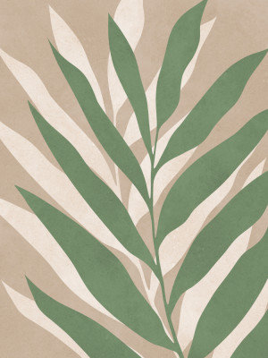 Soft Palm Leaves Print, Size, Format, Frame Color