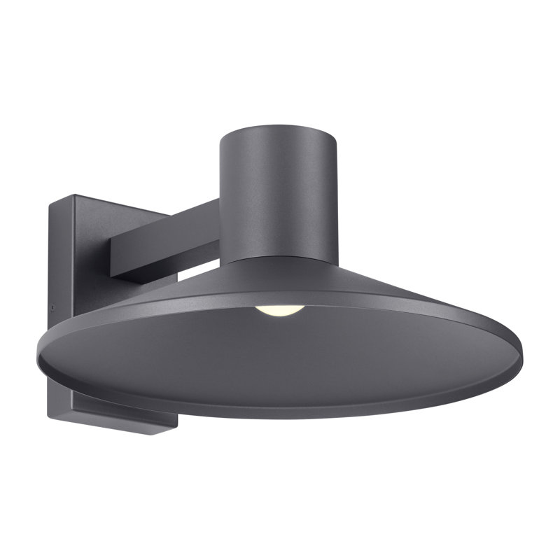 Ash LED Outdoor Armed Sconce, Charcoal, 16" H x 16" W x 12" D