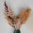 17'' Pampas Grass Plant