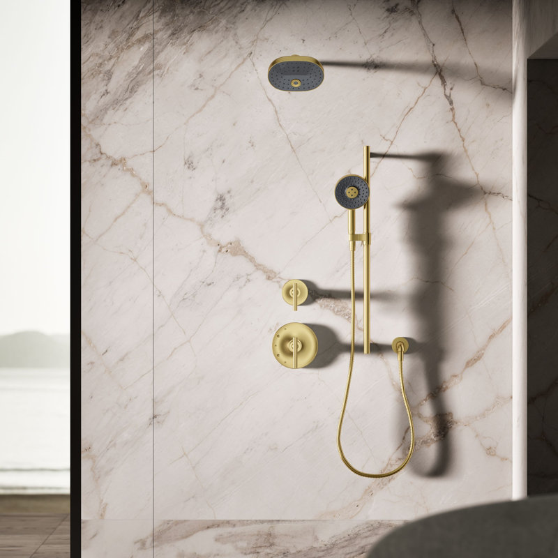 Statement 2.5 GPM Round Multifunction Handshower With Katalyst Air-Induction Technology, Vibrant Brushed Moderne Brass