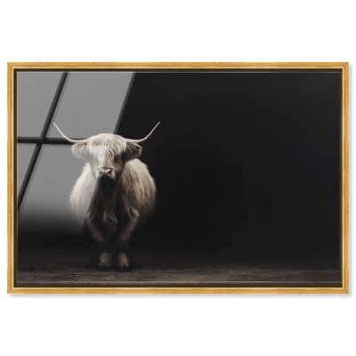 «Highland Cow II», reproduction d'art acrylique encadrée par Notoriart, cadre doré, 30 x 20
