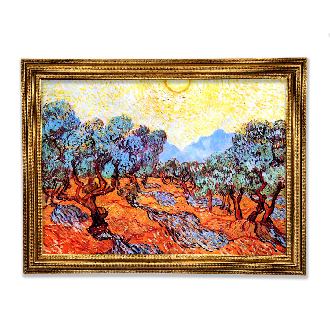 Olivenhain 1 von Van Gogh - Einzelner Bilderrahmen Kunstdrucke