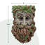 Statue Herbey Face Forest