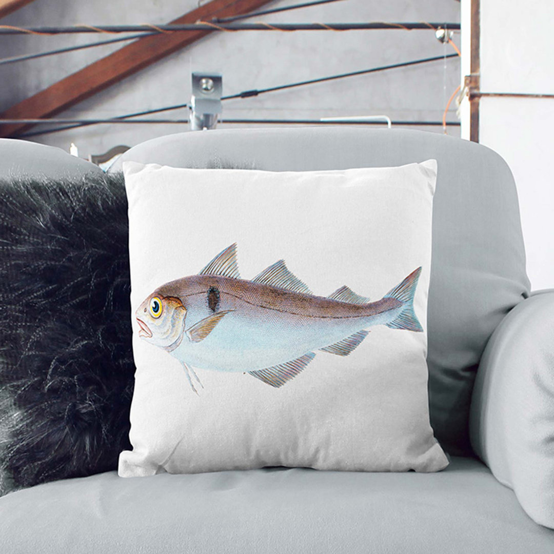 Haddock Fish by Edward Donovan Cushion with Filling