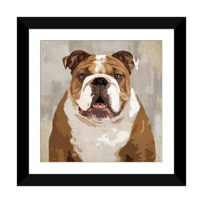 " Bulldog " by Keri Rodgers