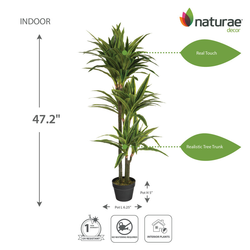 Dracaena artificiel en pot, H 47,24 po x l 26,5 po x P 26,5 po