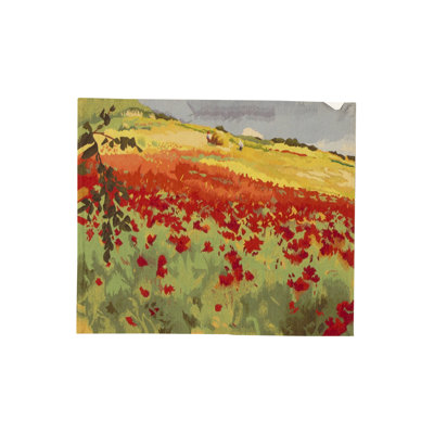 Tapis vert, rouge et bleu noué à la main de haute qualité